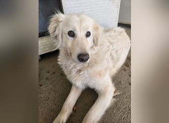 Miriam: Schritt für Schritt ins Glück