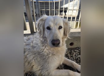 Miriam: Schritt für Schritt ins Glück