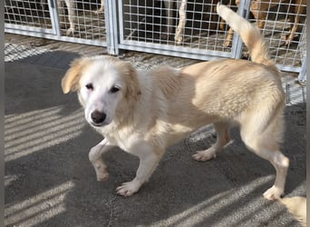 Tom: verliebt in alle Menschen