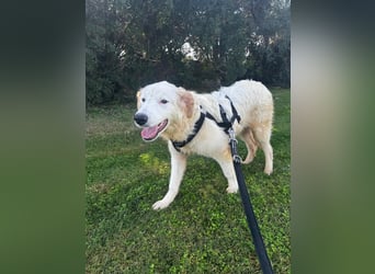 Tom: verliebt in alle Menschen