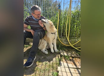 Tito: wie ein Sechser im Lotto