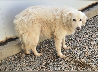 Miriam: Schritt für Schritt ins Glück