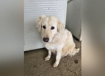 Miriam: Schritt für Schritt ins Glück