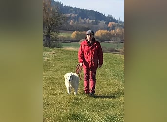 Luna sucht ein Zuhause