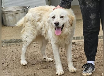 Artu - einfach nur toll