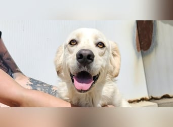 Artu - einfach nur toll