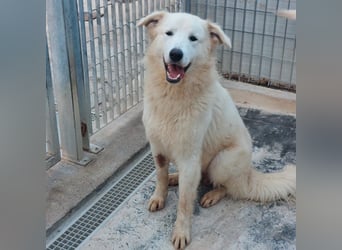 Dodi:  was für eine liebe Seele