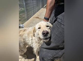 Dodi: er liebt alle Menschen