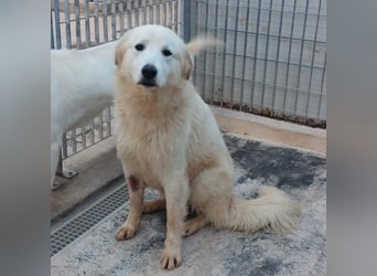 Dodi:  was für eine liebe Seele