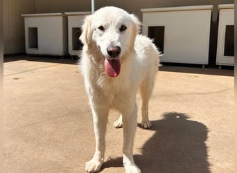 Romina - unser Sonnenschein sucht ein Zuhause