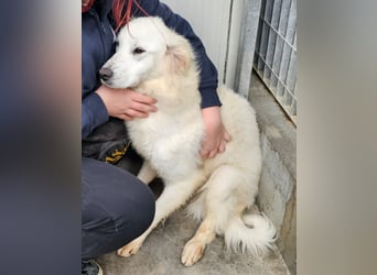 Romina - unser Sonnenschein sucht ein Zuhause