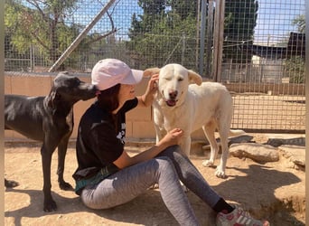 MOON-sanftes,gutmütiges Schmusemädchen mit großem Herzen sucht sehnsüchtig liebe "Für-immer-Familie"