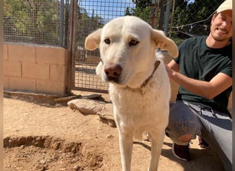 MOON-sanftes,gutmütiges Schmusemädchen mit großem Herzen sucht sehnsüchtig liebe "Für-immer-Familie"