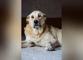 Berta