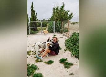 Eroz