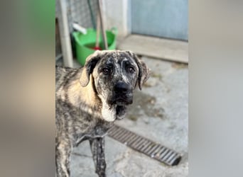 Chanel - das zarte Blümchen