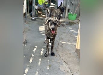 Chanel - das zarte Blümchen