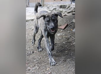 Chanel - das zarte Blümchen