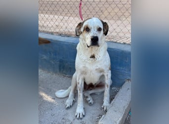 Maya, ein schüchternes großes Mädchen