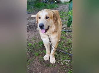 Leon, sucht ein ländliches Zuhause