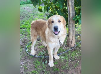 Leon, sucht ein ländliches Zuhause