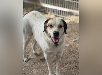 Maya, ein schüchternes großes Mädchen