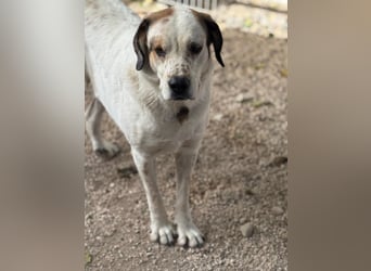 Maya, ein schüchternes großes Mädchen