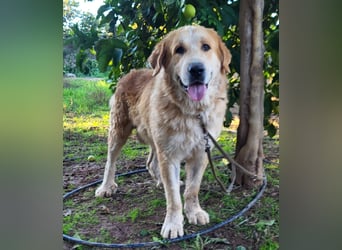 Leon, sucht ein ländliches Zuhause