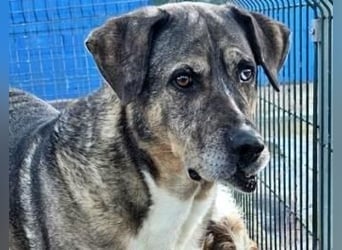 BUNNY der sanfte Bub