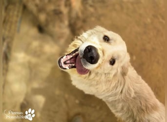 Helga ist sozial, freundlich und menschenbezogen