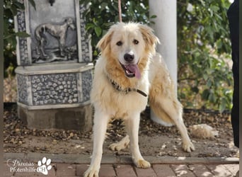 Helga ist sozial, freundlich und menschenbezogen