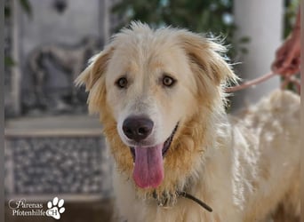 Helga ist sozial, freundlich und menschenbezogen