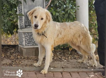 Helga ist sozial, freundlich und menschenbezogen