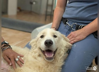 Helga ist sozial, freundlich und menschenbezogen