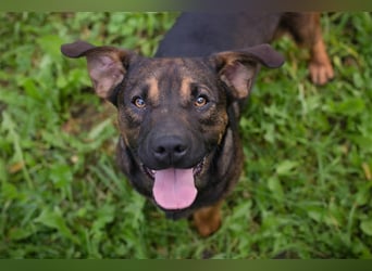 Ferdi – auch mit kleinen Beinen, flink unterwegs!