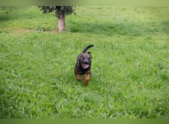 Ferdi – auch mit kleinen Beinen, flink unterwegs!