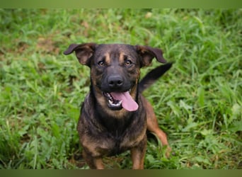 Ferdi – auch mit kleinen Beinen, flink unterwegs!