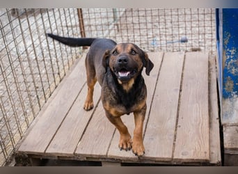 Ferdi – auch mit kleinen Beinen, flink unterwegs!