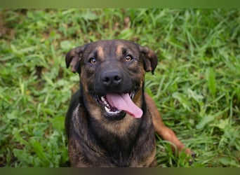 Ferdi – auch mit kleinen Beinen, flink unterwegs!