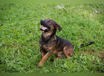 Ferdi – auch mit kleinen Beinen, flink unterwegs!