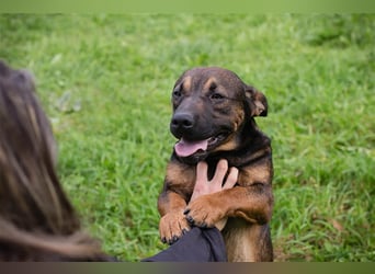 Ferdi – auch mit kleinen Beinen, flink unterwegs!
