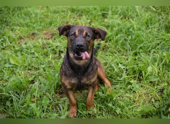 Ferdi – auch mit kleinen Beinen, flink unterwegs!