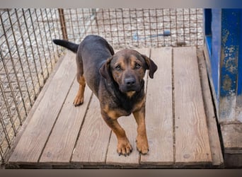 Ferdi – auch mit kleinen Beinen, flink unterwegs!