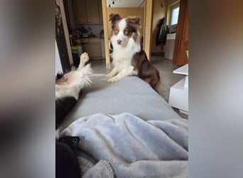 Schenkst du Budy die Chance auf einen Neustart?