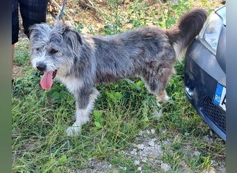 Rafaela lacht, obwohl sie in Rumänien nichts zu lachen hat