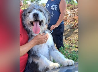 Rafaela lacht, obwohl sie in Rumänien nichts zu lachen hat