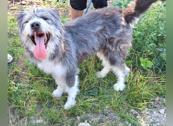 Rafaela lacht, obwohl sie in Rumänien nichts zu lachen hat