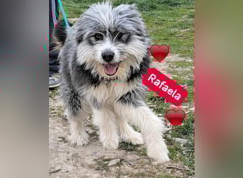 Rafaela lacht, obwohl sie in Rumänien nichts zu lachen hat