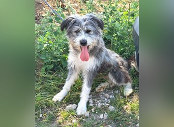 Rafaela lacht, obwohl sie in Rumänien nichts zu lachen hat