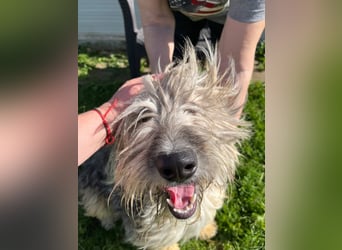 Ari - voller Lebensfreude